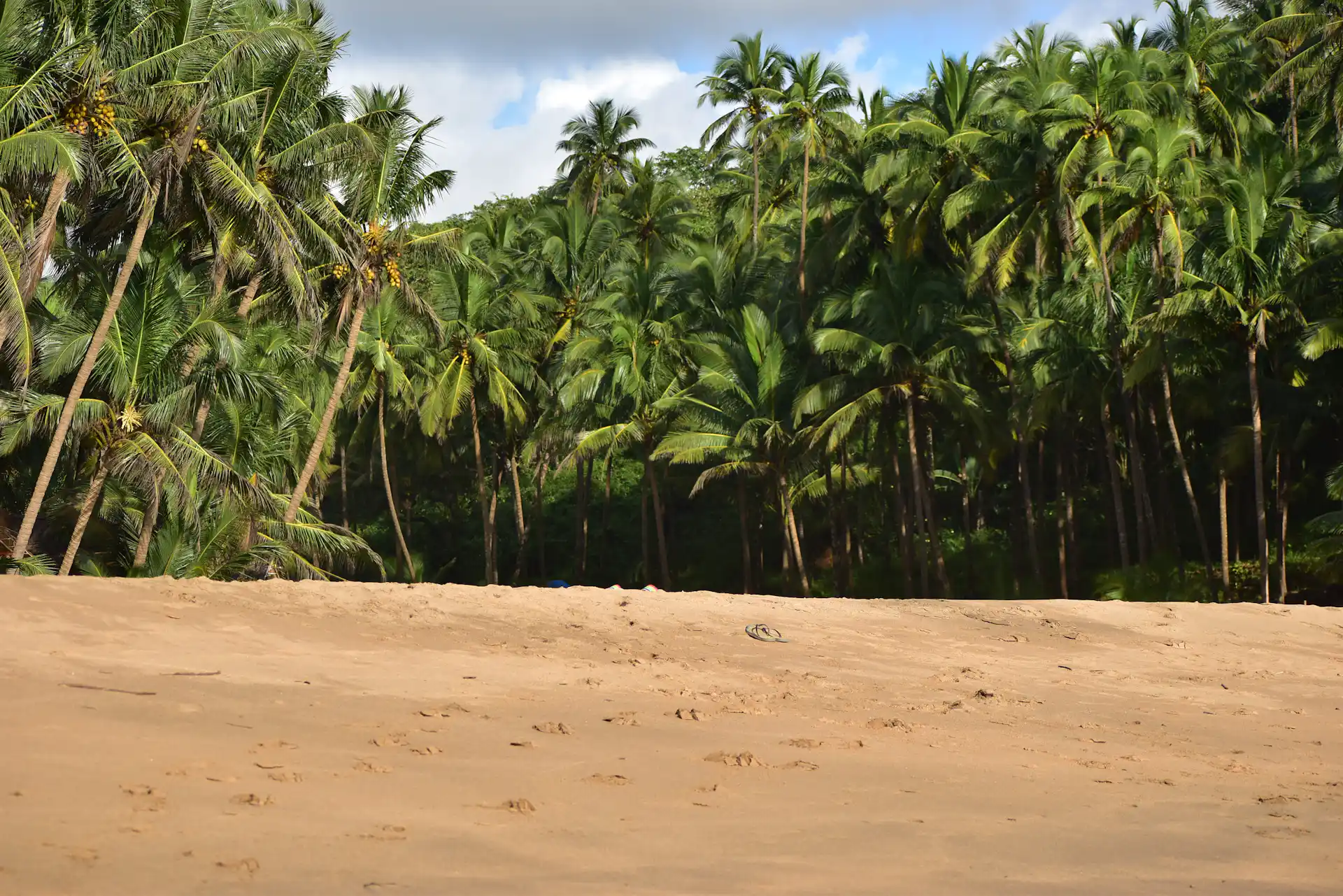 eSIM Plans for French Guiana – Affordable Data Plans, Instant Activation