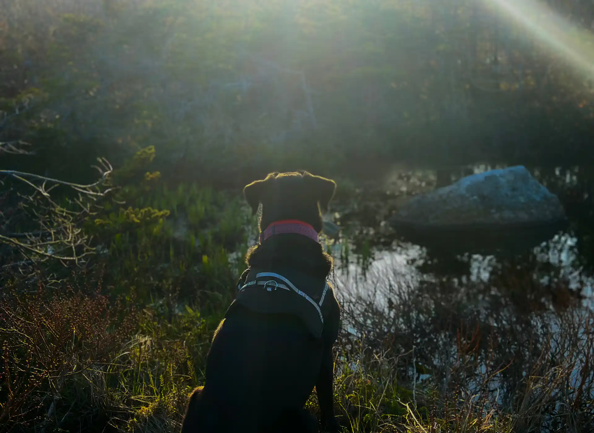 eSIM Plans for Saint Pierre and Miquelon – Affordable Data Plans, Instant Activation