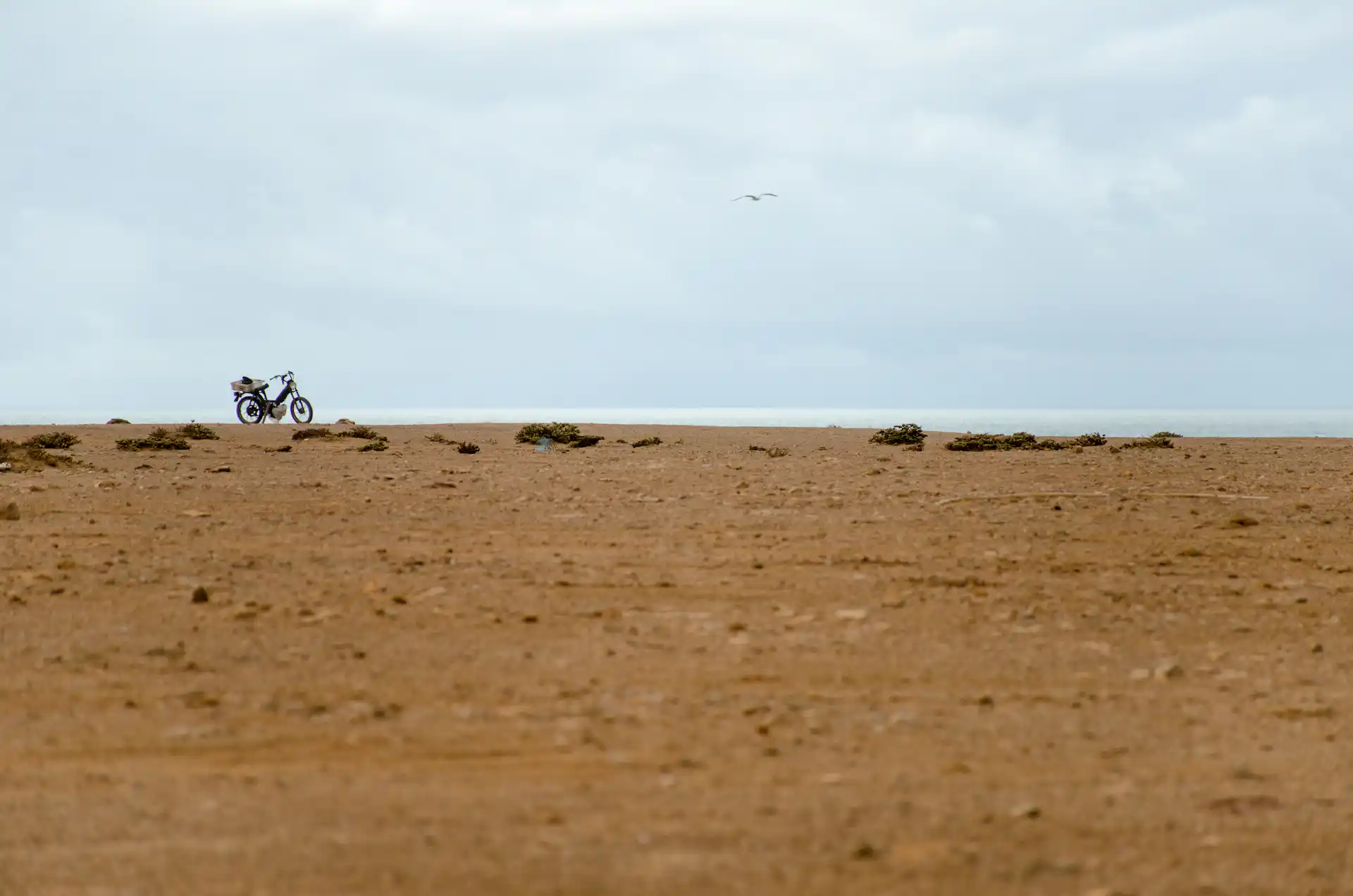 eSIM Plans for Western Sahara – Affordable Data Plans, Instant Activation